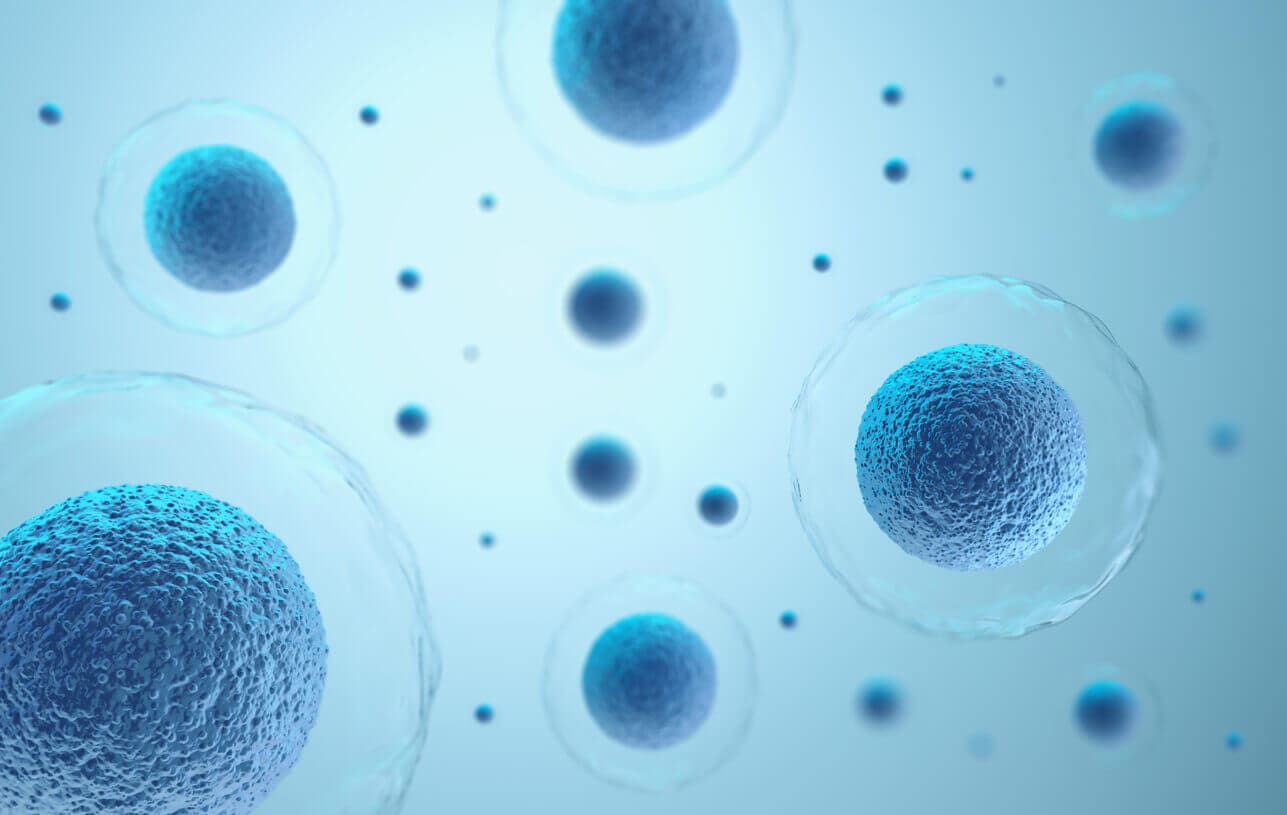 3D rendering of human cells in a blue background.